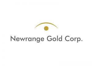 DigiGeoData - newrange logo