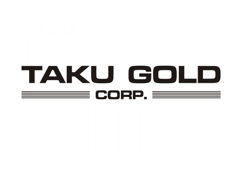 DigiGeoData - taku logo