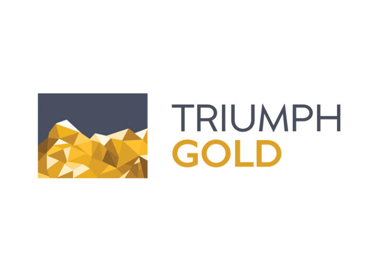 DigiGeoData - triumph logo