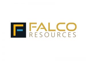 DigiGeoData - falco logo