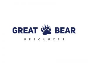 DigiGeoData - great bear logo