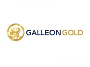 DigiGeoData - logo galleon horizontal