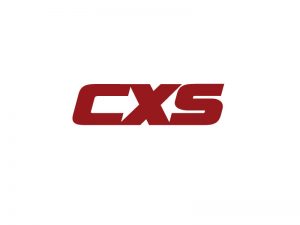 DigiGeoData - cxs logo