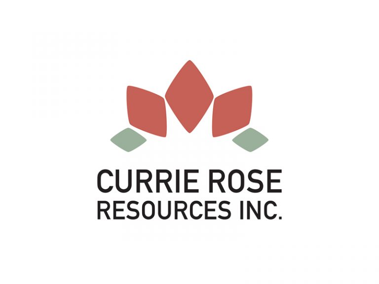 DigiGeoData - Currierose logo