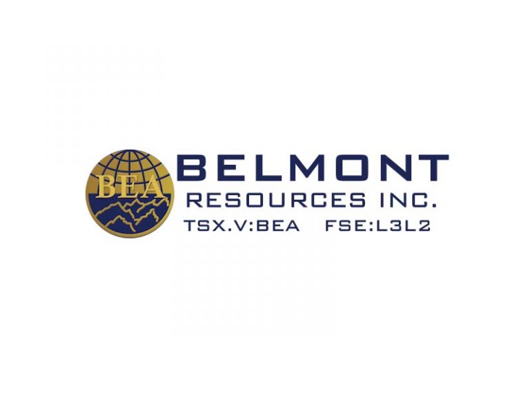 DigiGeoData - belmont logo