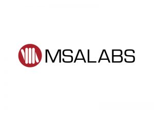 DigiGeoData - msa logo