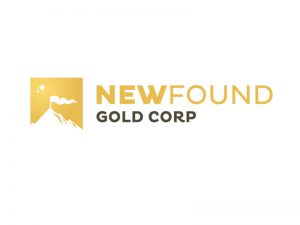 DigiGeoData - new found gold logo