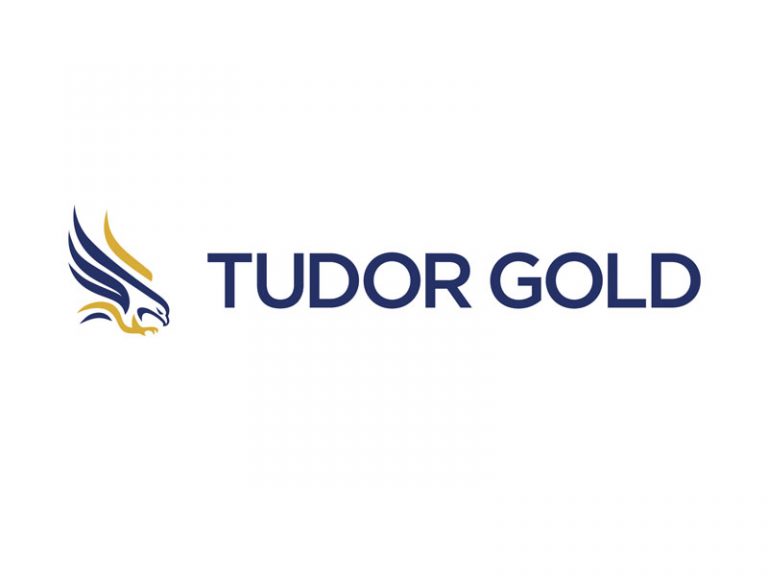 DigiGeoData - tudor logo