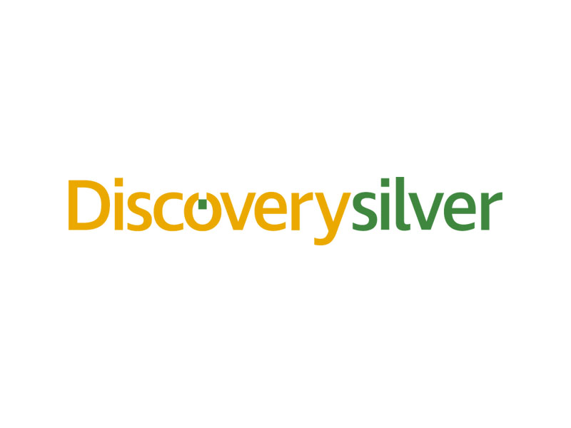 Discovery Silver